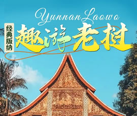 【趣游老撾 · 經(jīng)典版納】—昆明、普洱、西雙版納、磨丁、瑯勃拉邦四動(dòng)8日游