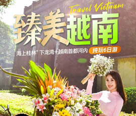 臻美越南—下龍灣、河內休閑6日游
